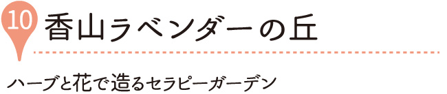 香山ラベンダーの丘