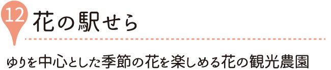 花の駅せら