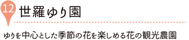 世羅ゆり園