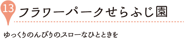 フラワーパークせらふじ園