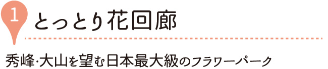 とっとり花回廊