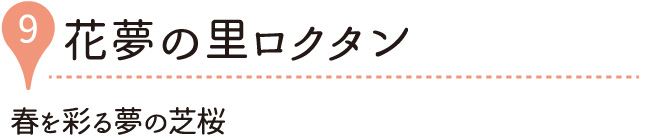 花夢の里ロクタン