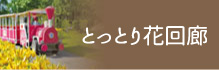 とっとり花回廊